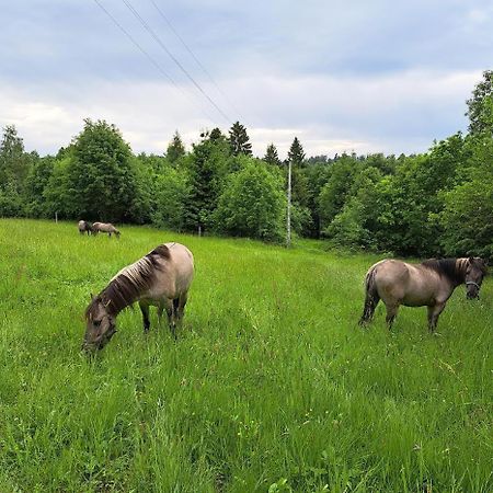 Sudecka Chata Bystrzyca Klodzka Luaran gambar