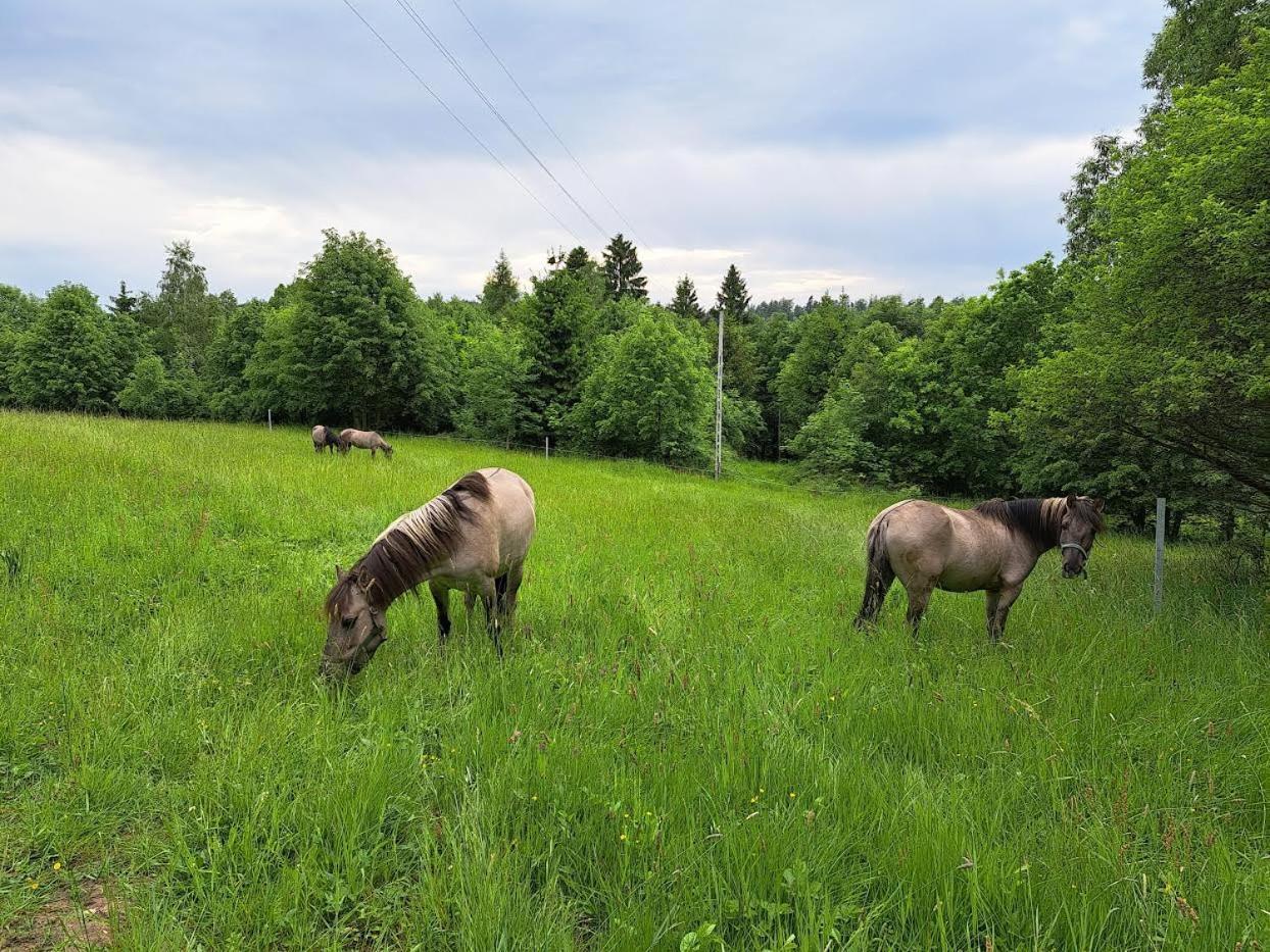 Sudecka Chata Bystrzyca Klodzka Luaran gambar