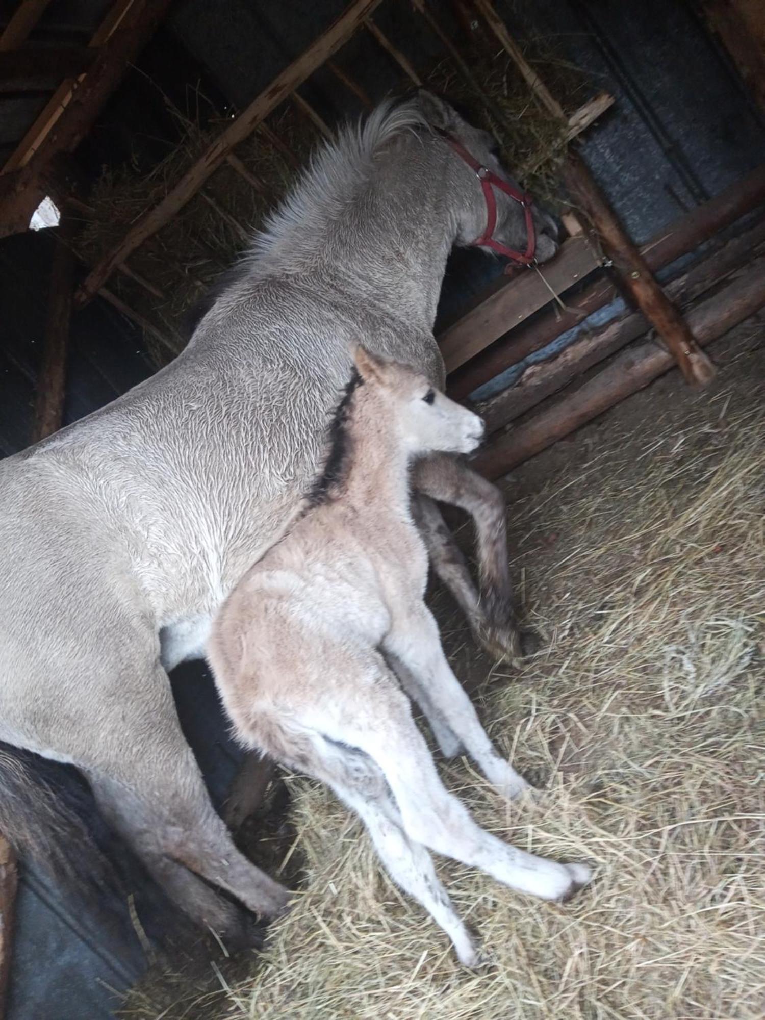 Sudecka Chata Bystrzyca Klodzka Luaran gambar